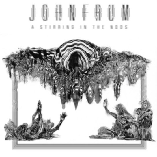 

Виниловая пластинка Frum John - A Stirring in the Noos