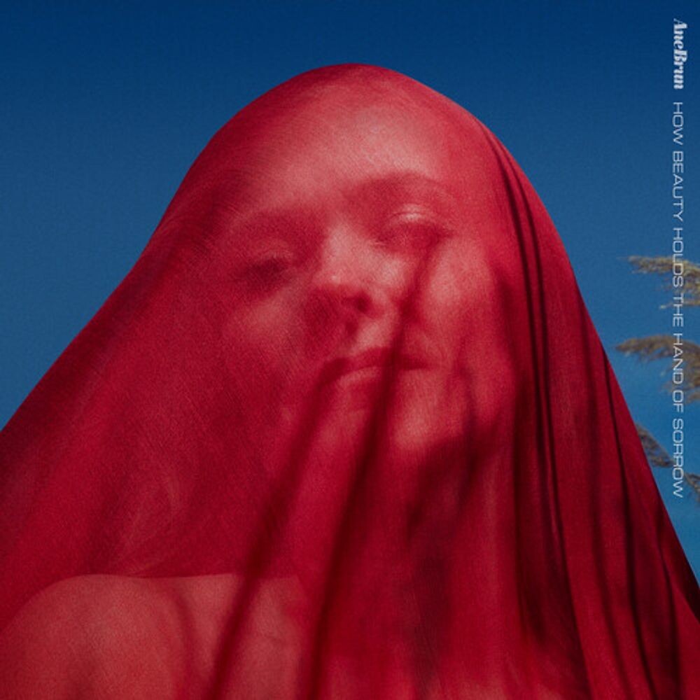 

Диск CD How Beauty Holds The Hand Of Sorrow - Ane Brun
