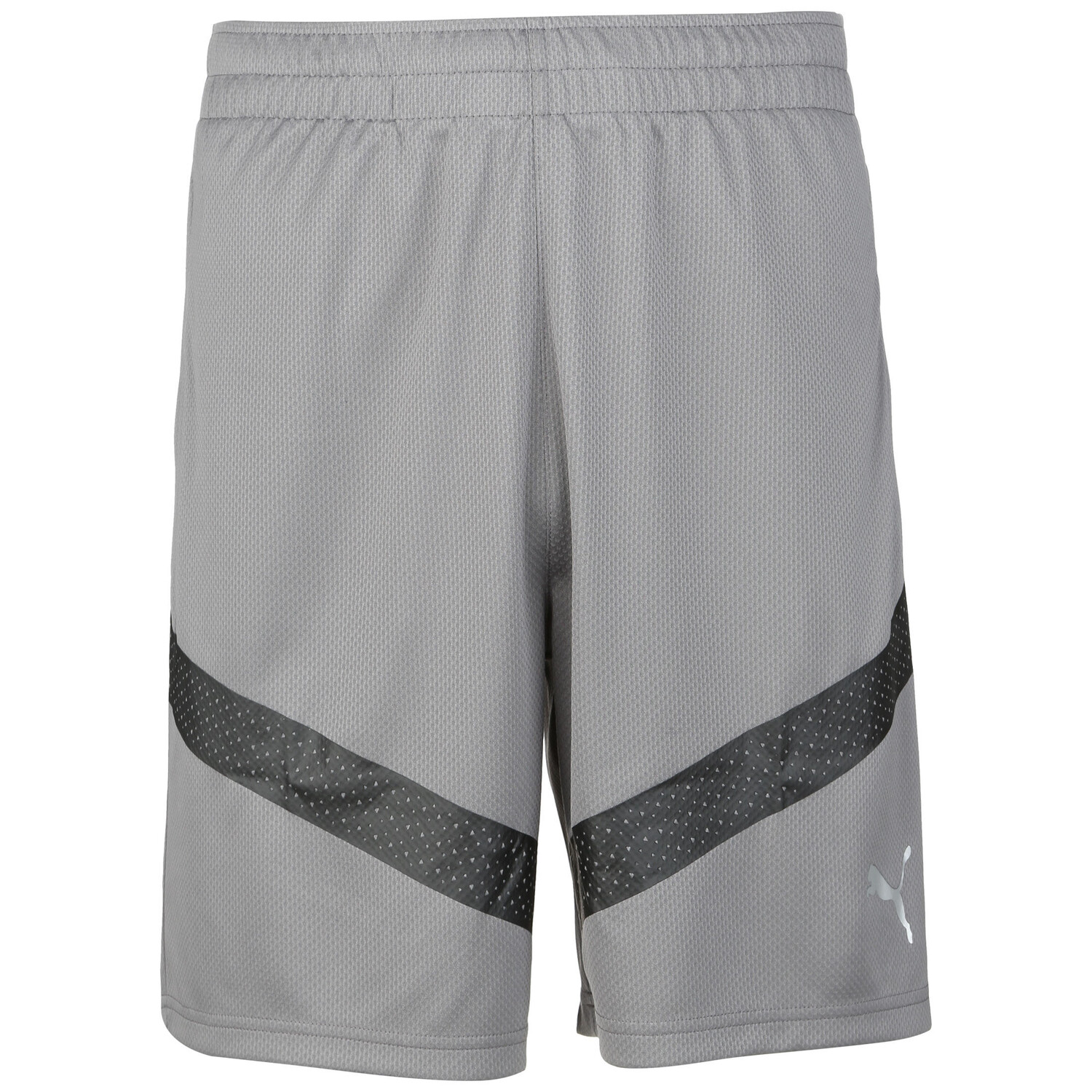 

Шорты Puma Trainings teamFINAL Training, серый черный
