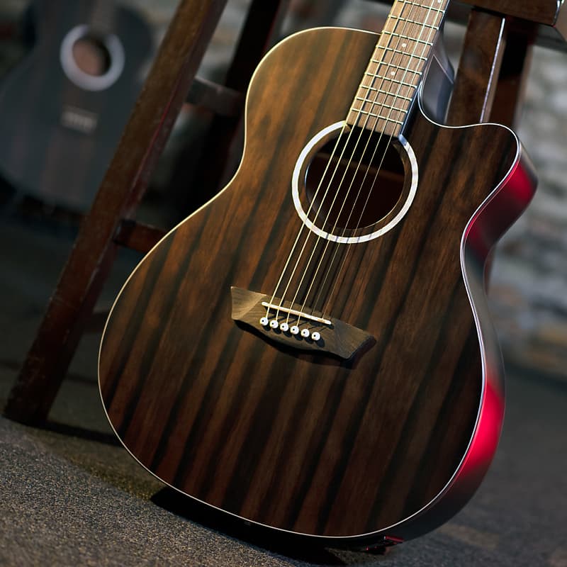 Акустическая гитара Washburn DFEACE Deep Forest Ebony Ace Stripe Wood Mahogany Neck 6-String Acoustic-Electric Guitar фото