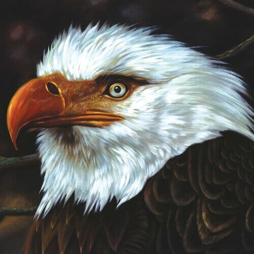 

CD диск Mogwai: Hawk Is Howling