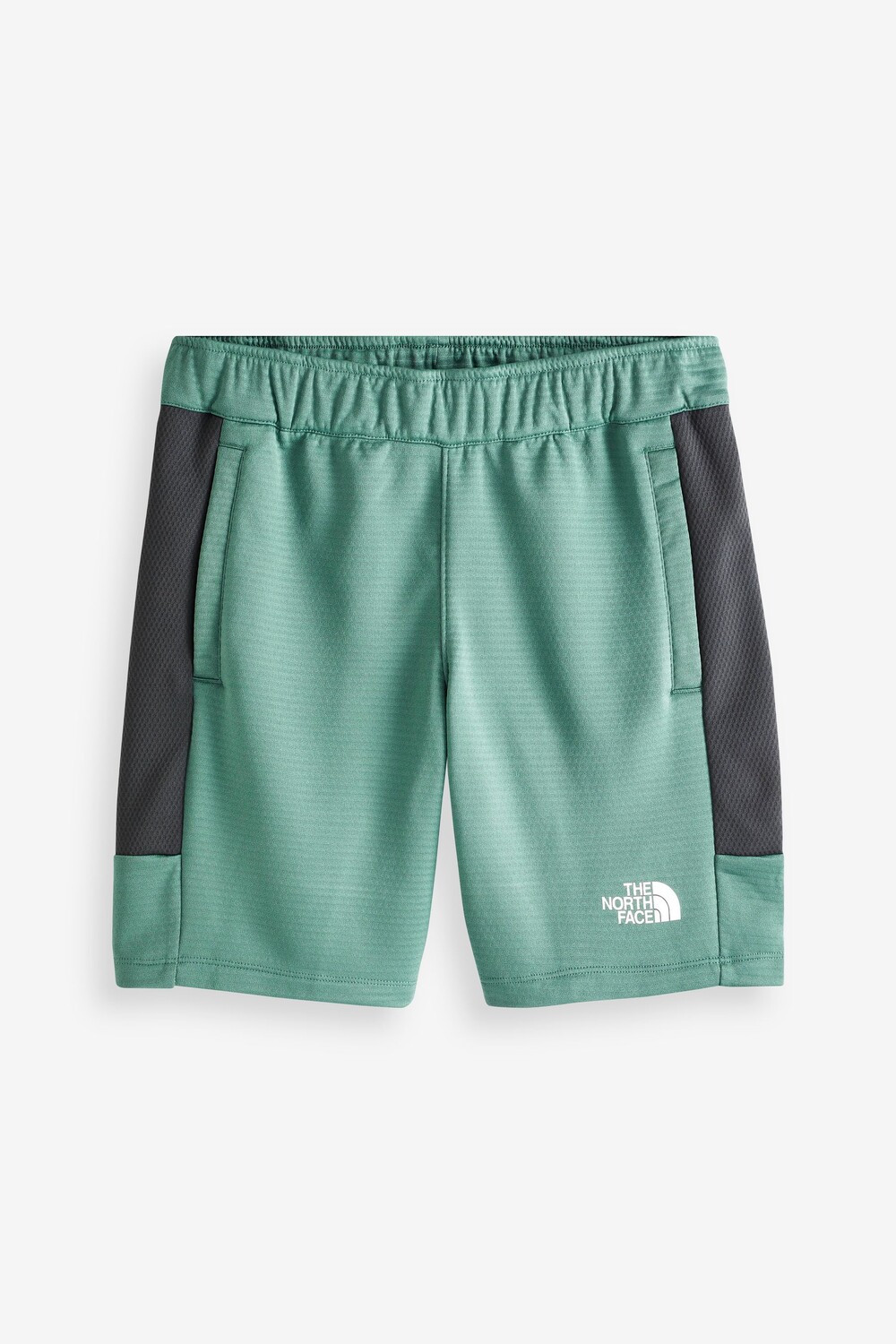 

Флисовые шорты MA The North Face, зеленый