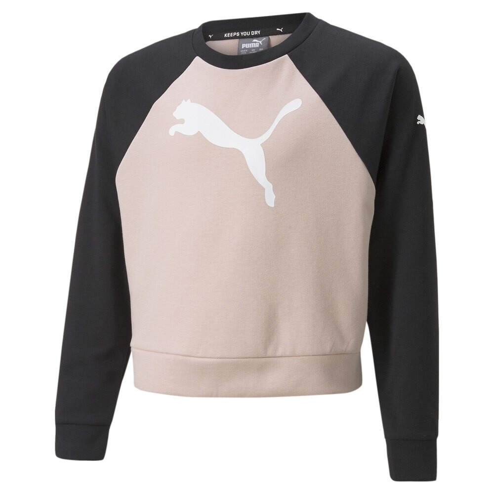 

Толстовка Puma Modern Sports, розовый, Серый