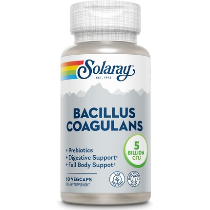 SOLARAY Bacillus Coagulans Пробиотик длительного хранения для всего тела, 60 растительных капсул solaray bacillus coagulans 5 миллиардов 60 растительных капсул 2 5 миллиарда на капсулу