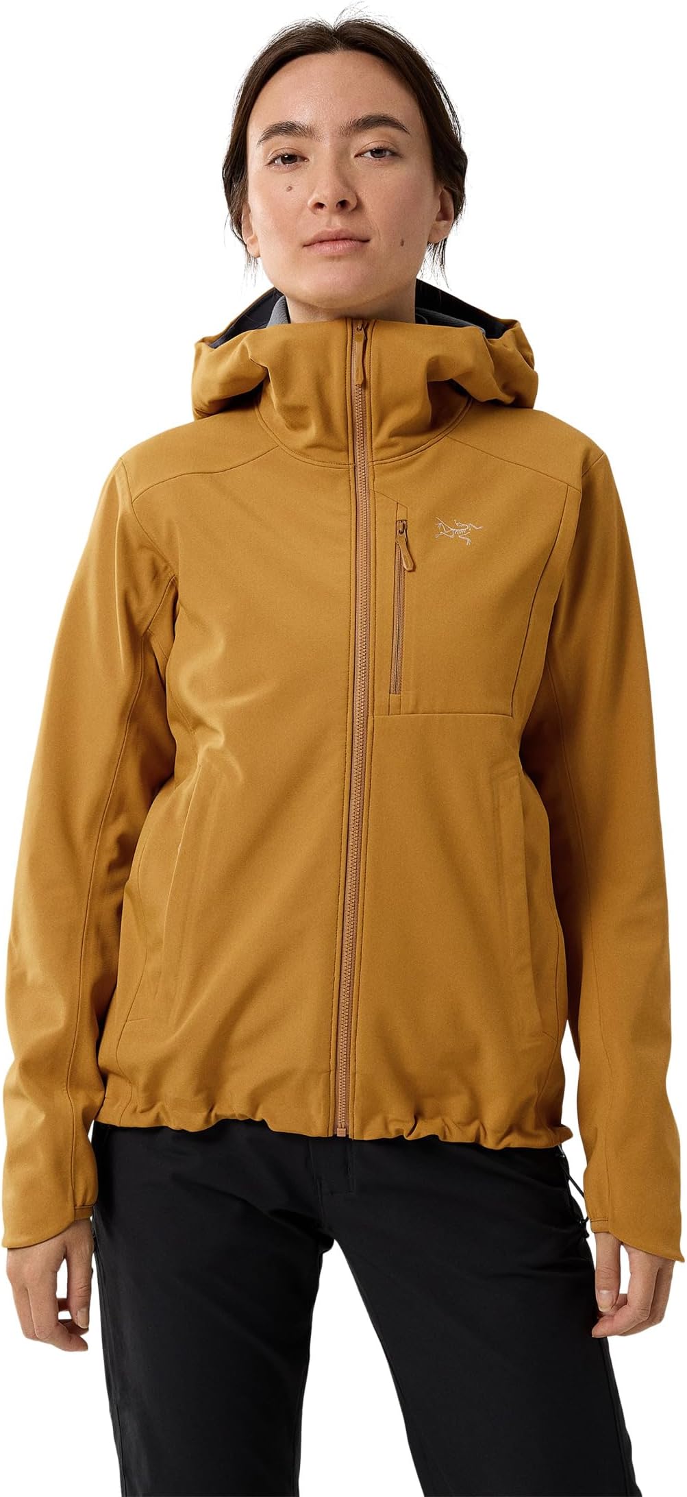 

Толстовка Gamma Heavyweight Hoody Arc'teryx, цвет Yukon