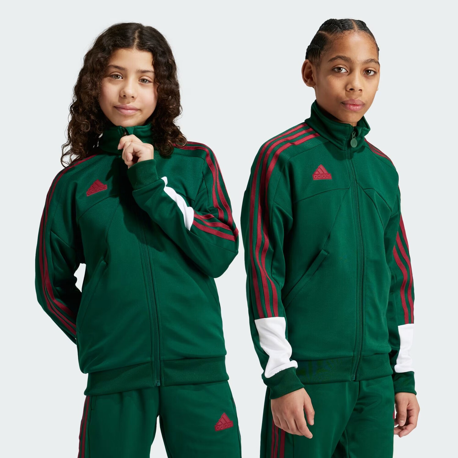 

J NP Свитшот на молнии Adidas, цвет Dark Green/Cloud White/Collegiate Burgundy