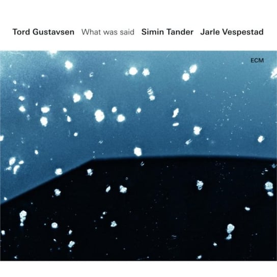 Виниловая пластинка Gustavsen Tord - What Was Said tord gustavsen trio виниловая пластинка tord gustavsen trio opening