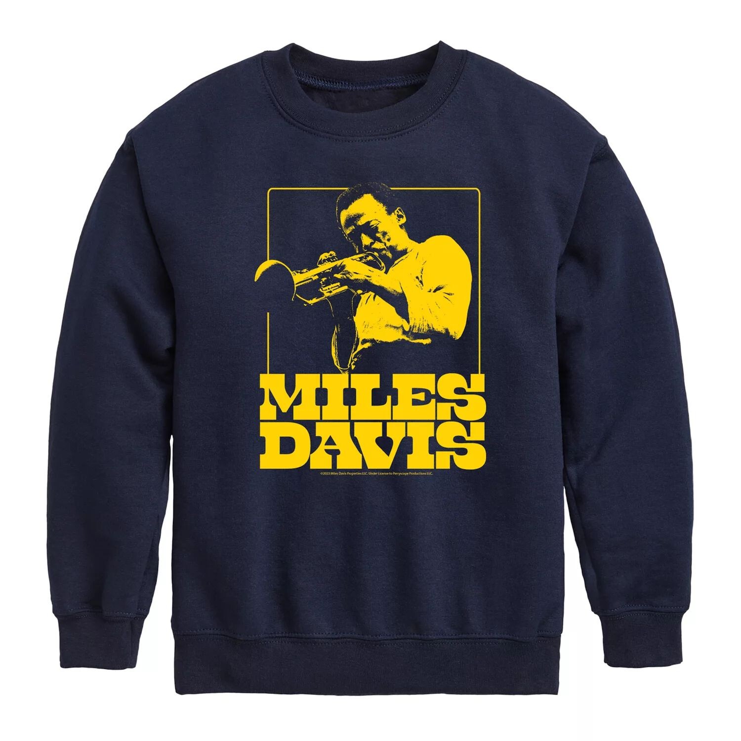 

Мальчики 8–20 миль Davis Gold Fleece Licensed Character, синий