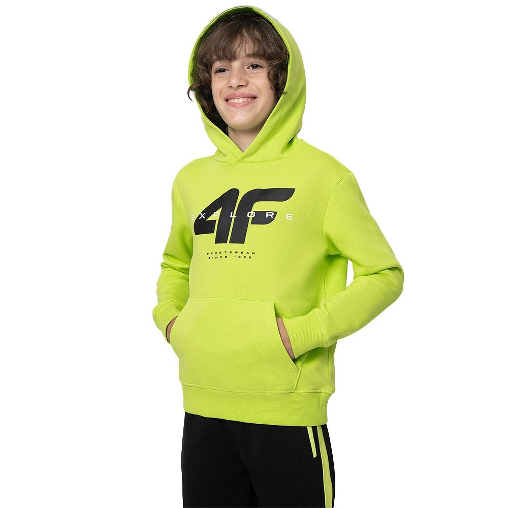

Худи 4F SWEATSHIRT M240, зеленый