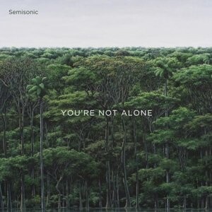 

Виниловая пластинка Semisonic - You're Not Alone