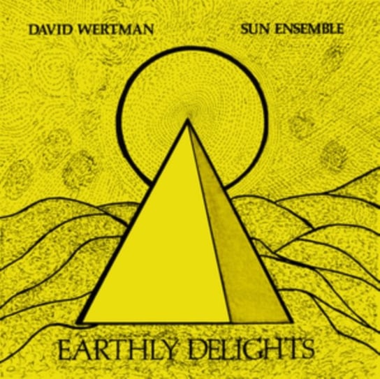 Виниловая пластинка Wertman David - Earthly Delights lightning bolt – earthly delights sea glass vinyl