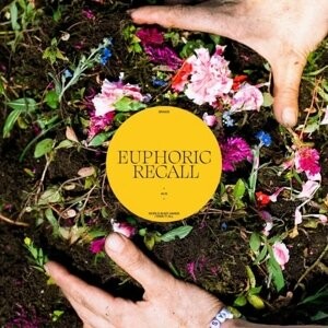 

Виниловая пластинка Braids - Euphoric Recall