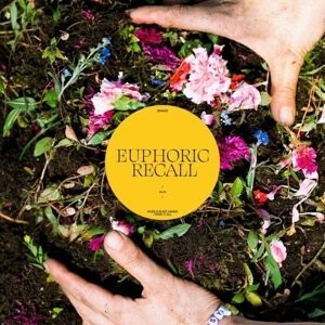 Виниловая пластинка Braids - Euphoric Recall