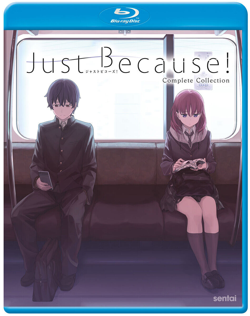 

Blu-Ray диск Just Because Blu-ray