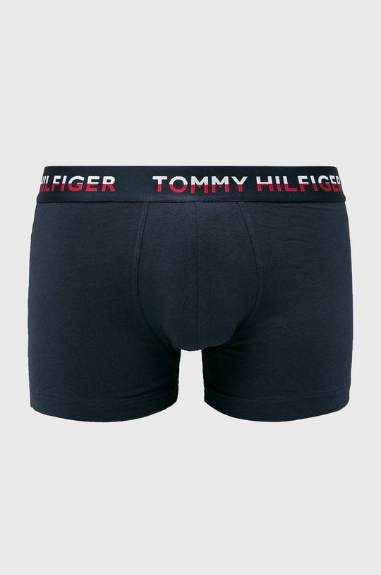цена Боксеры (2 пары) UM0UM00746 Tommy Hilfiger, темно-синий