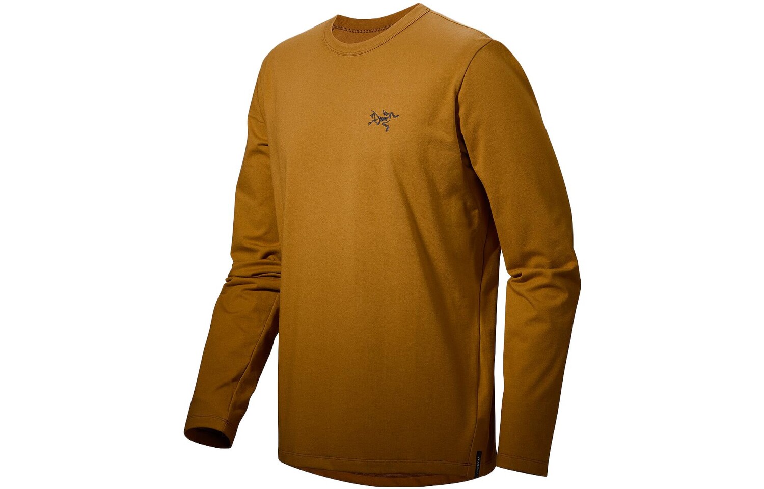 

Мужская футболка Arcteryx, Белый свет
