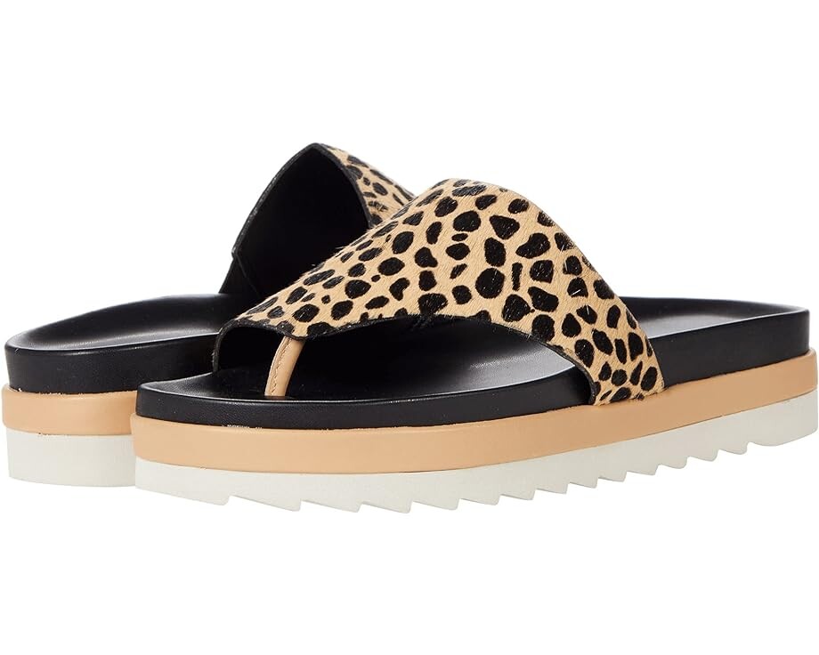

Сандалии Donald Pliner Lylaa, цвет Black/Camel