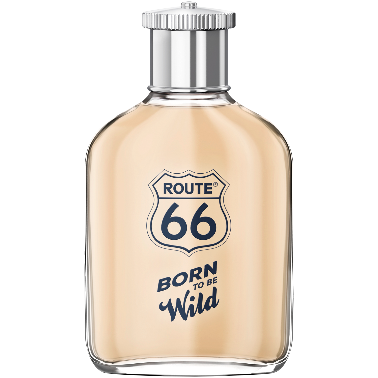 цена Мужская туалетная вода Route 66 Born To Be Wild, 100 мл