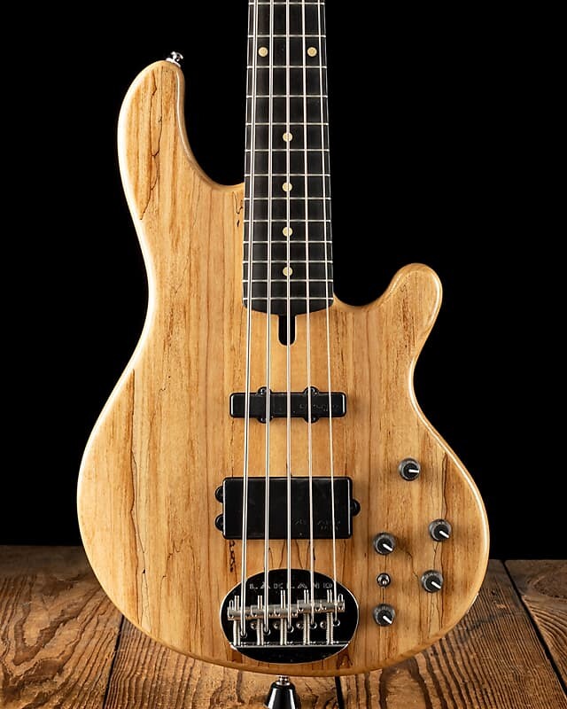 

Басс гитара Lakland Skyline 55-02 Deluxe Spalted Maple - Free Shipping
