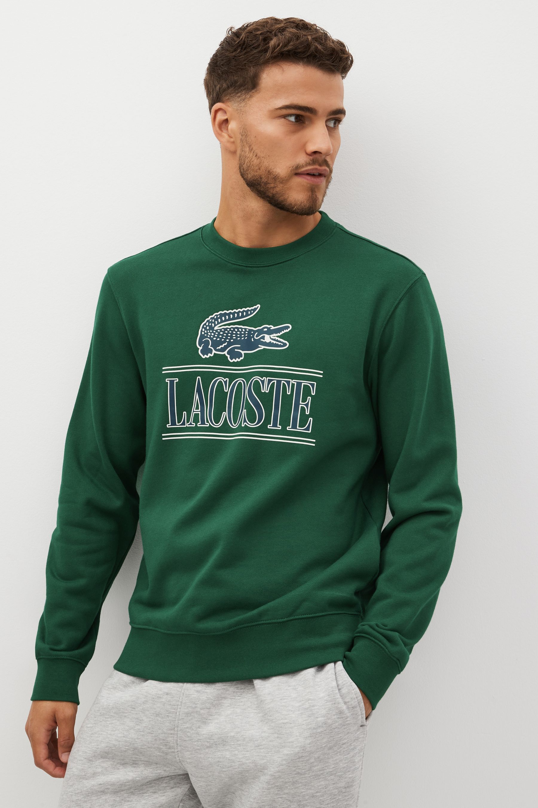 

Зеленая мужская толстовка Core с графикой Lacoste, зеленый