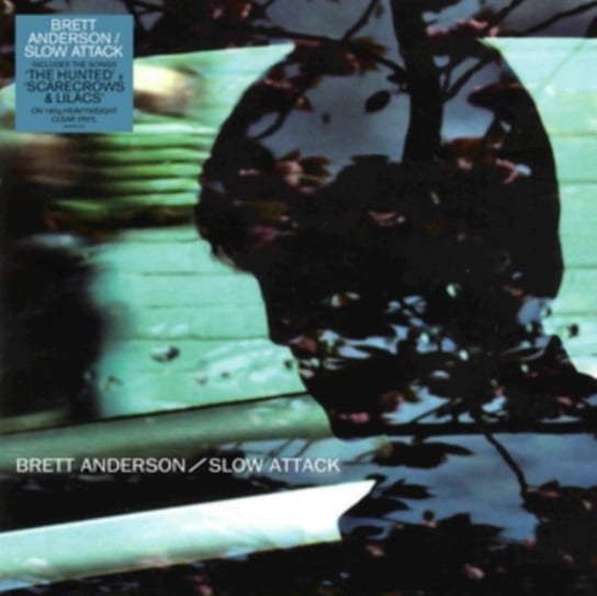 Виниловая пластинка Anderson Brett - Slow Attack (цветной винил)