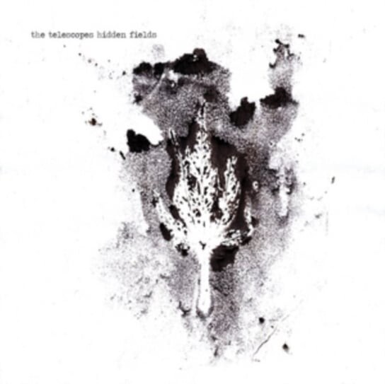 

Виниловая пластинка The Telescopes - Hidden Fields