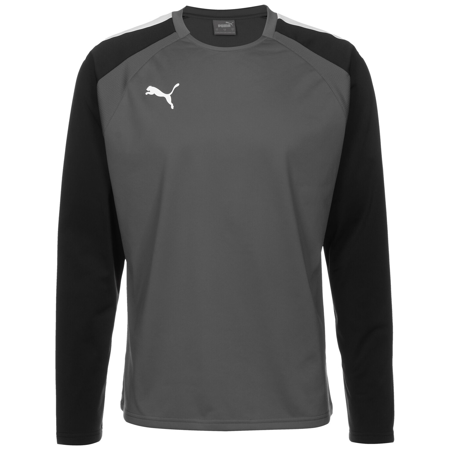 

Толстовка Puma TeamLIGA, темно-серый/черный