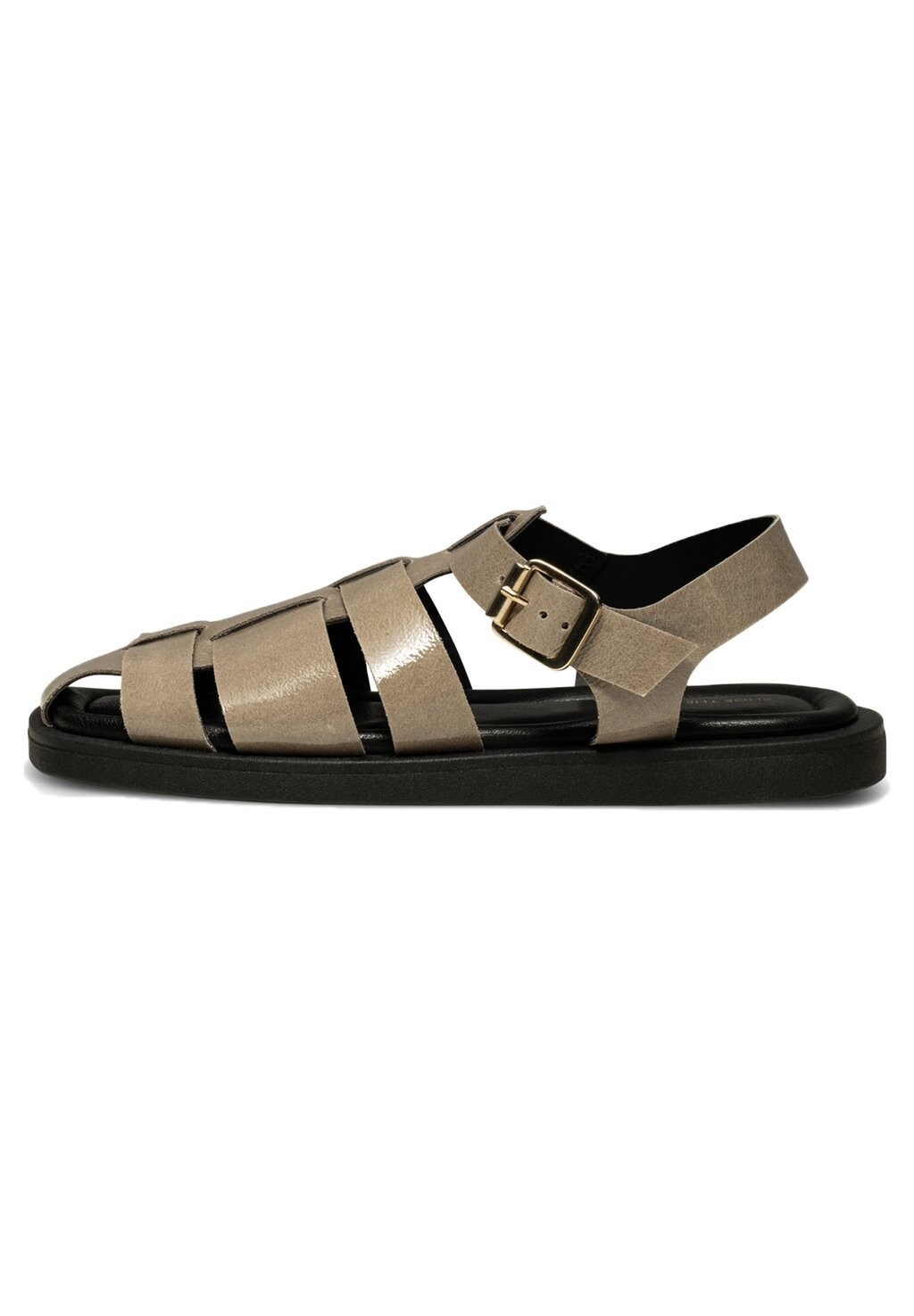 

Трекинговые сандалии Shoe The Bear, цвет taupe