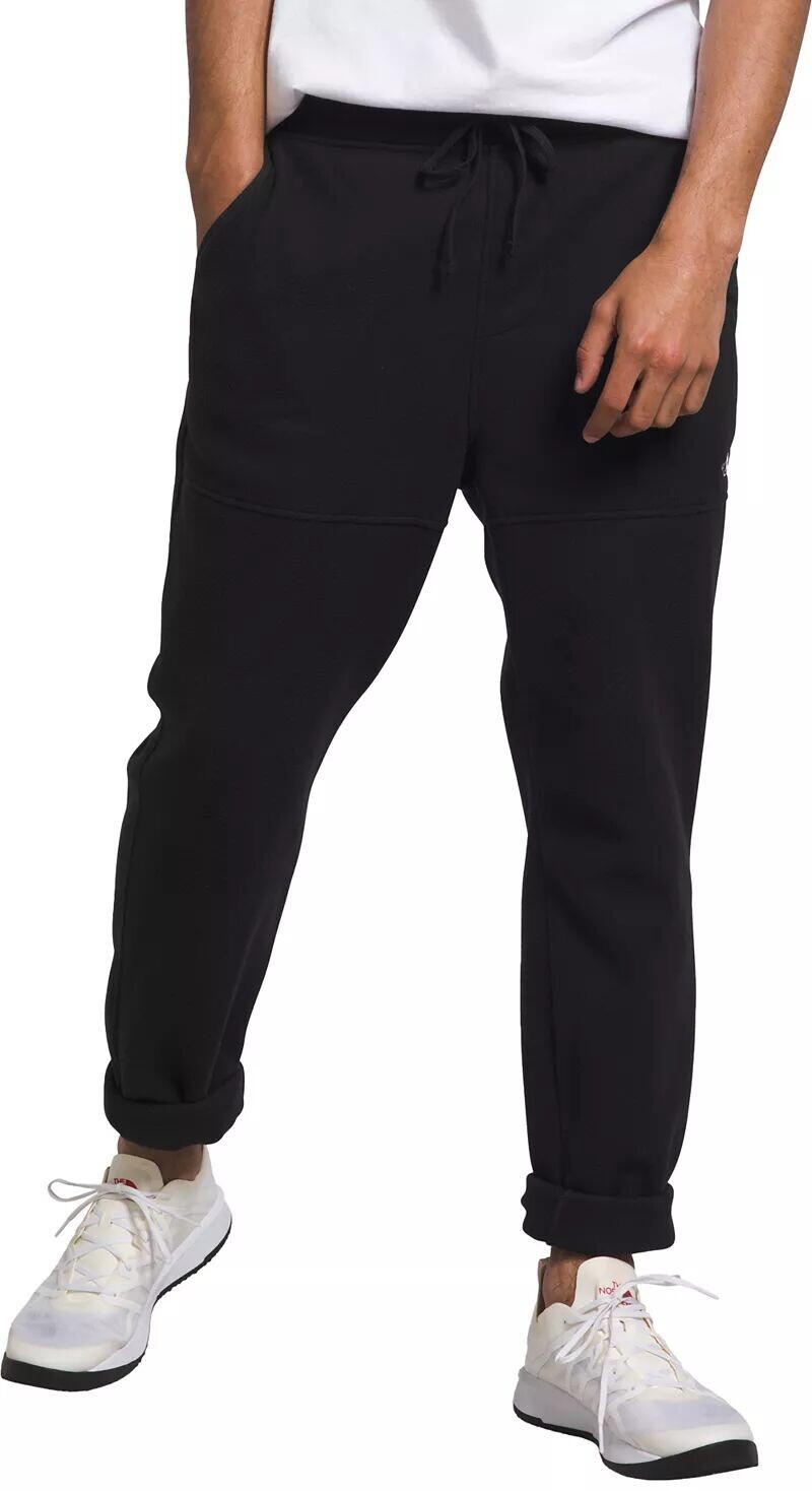 

Мужские брюки Alpine Polartec 100 The North Face