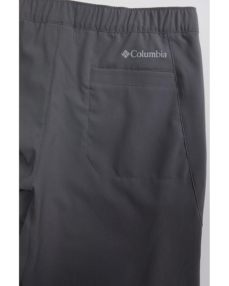 

Брюки Columbia Daytrekker Pants, цвет City Grey 1