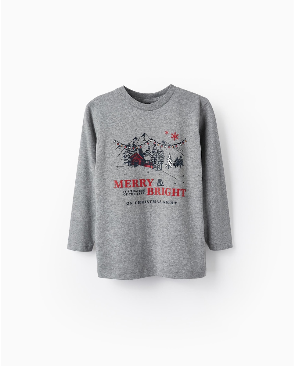 цена Рождественская футболка для мальчика серого цвета Zippy, серый