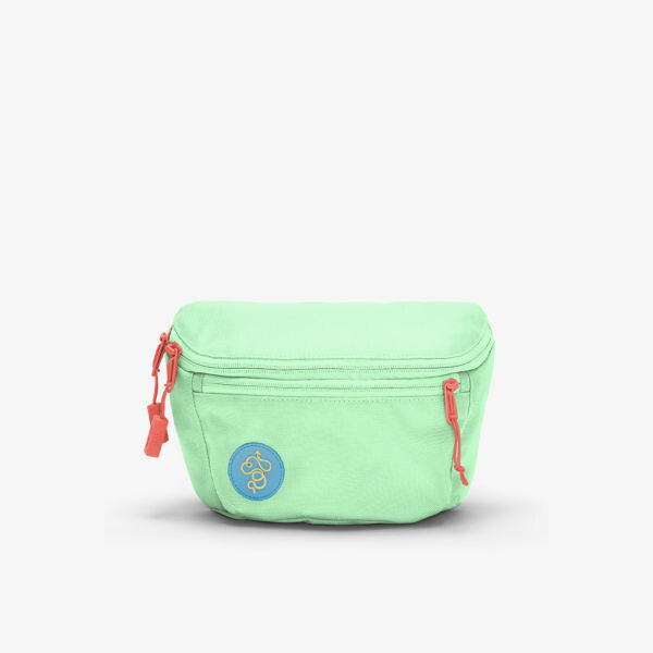 

Поясная сумка Fannypack из нейлона Baboon To The Moon, зеленый