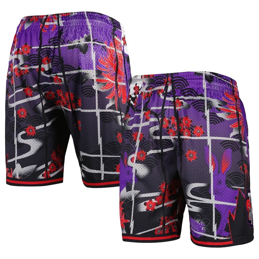 

Шорты Mitchell & Ness Toronto Raptors, фиолетовый