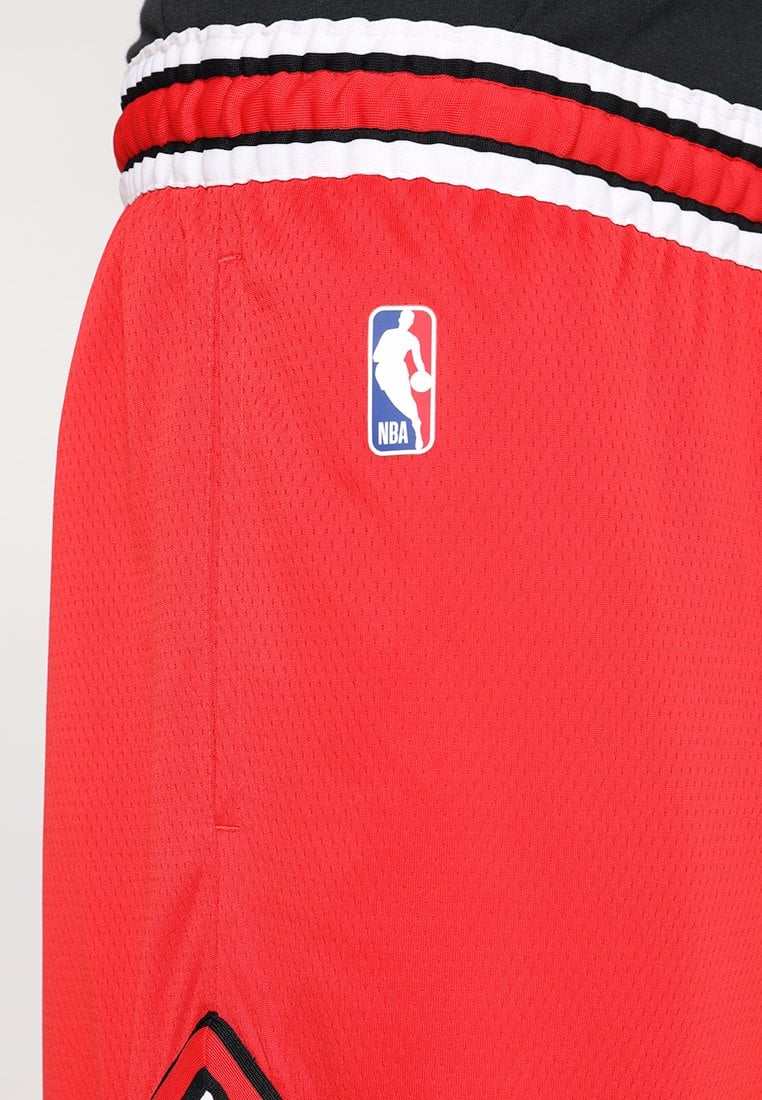 Шорты Nike Chicago bulls