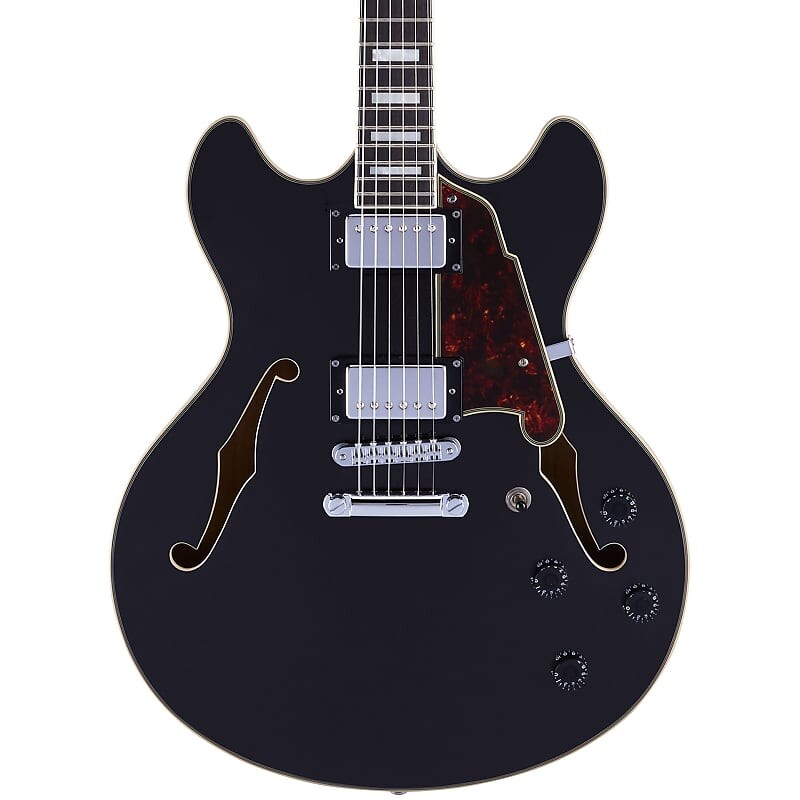 

Электрогитара D'Angelico Premier DC Semi-Hollow Electric Guitar - Black Flake