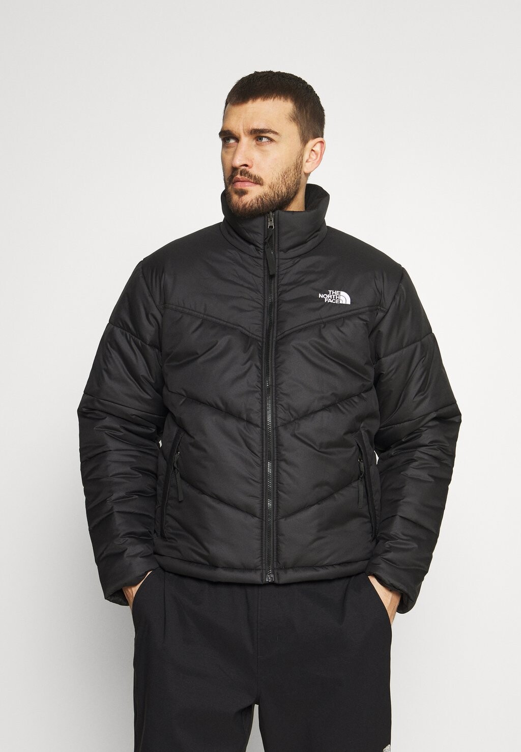 

Куртка зимняя The North Face