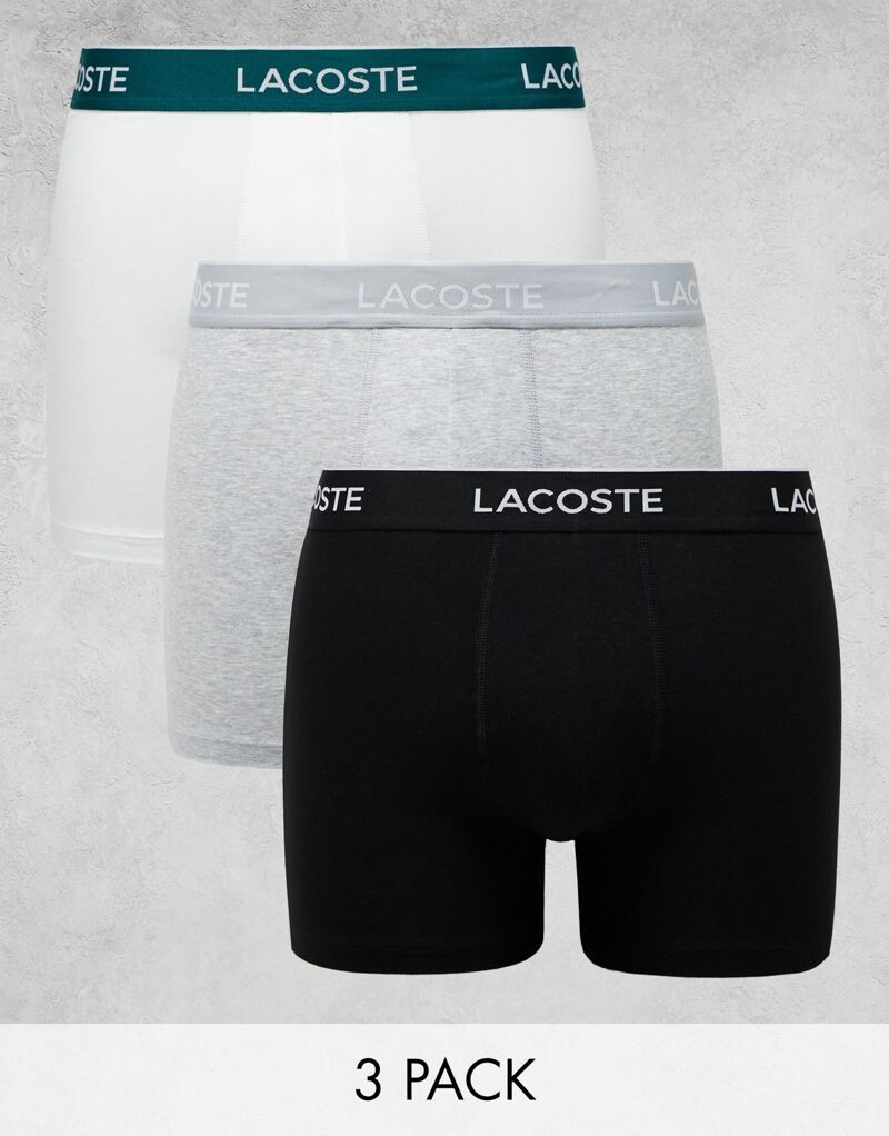 

Набор из 3 трусов разных цветов от Lacoste