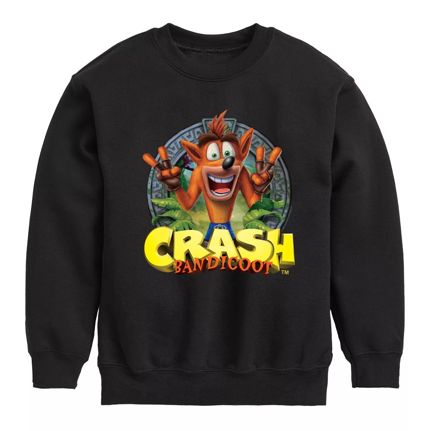 

Толстовка Crash Bandicoot для мальчиков 8–20 лет Licensed Character, черный