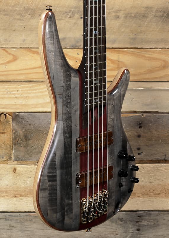 Ibanez SR Premium SR5CMDX 5-струнная бас-гитара Black Ice с сумкой для переноски SR Premium SR5CMDX 5-String Bass w/ Gigbag рамка на 5 постов livolo bb c7 sr sr sr sr sr 11