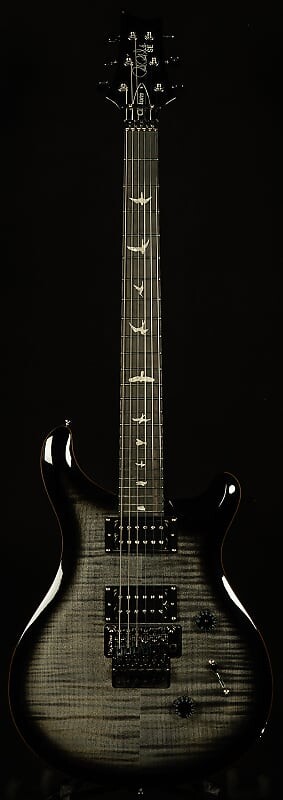 

Гитары PRS SE Custom 24 Floyd