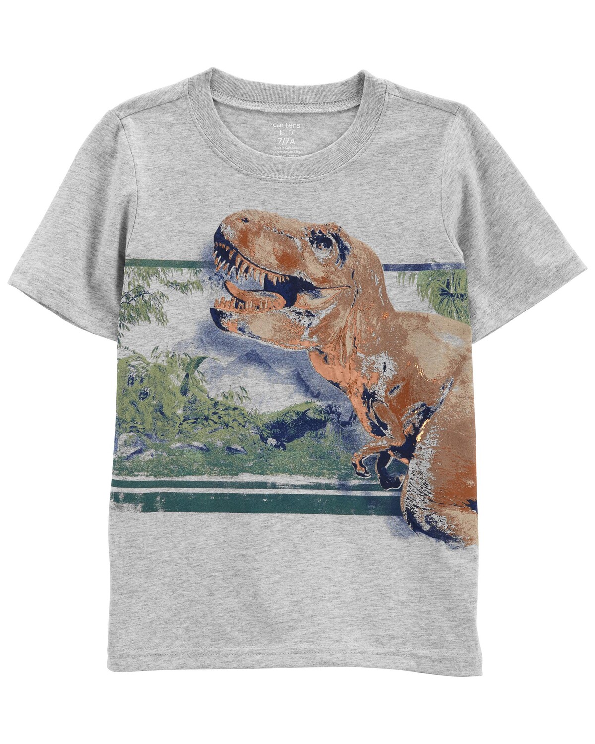 

Футболка Kid Dinosaur из джерси Carter's, серый