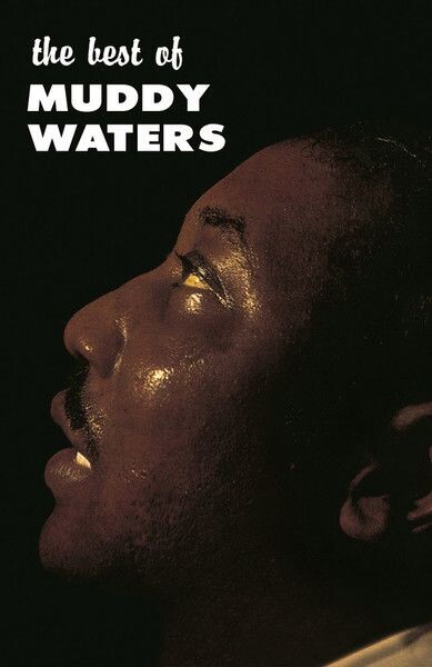 

Виниловая пластинка The Best Of | Muddy Waters