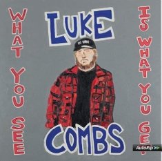 Виниловая пластинка Combs Luke - What You See is What You Get
