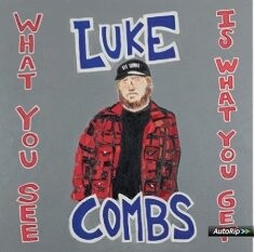 

Виниловая пластинка Combs Luke - What You See is What You Get