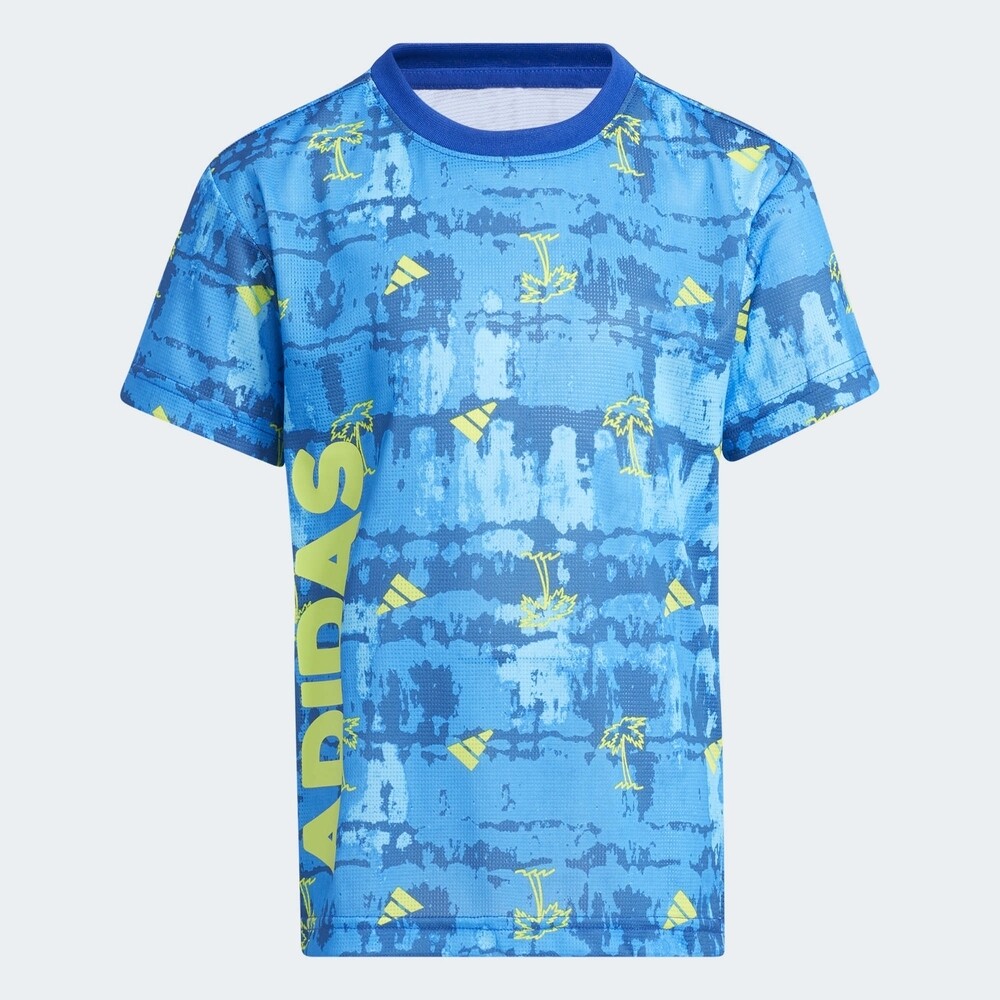 

Футболка Adidas, голубой/светло-зеленый