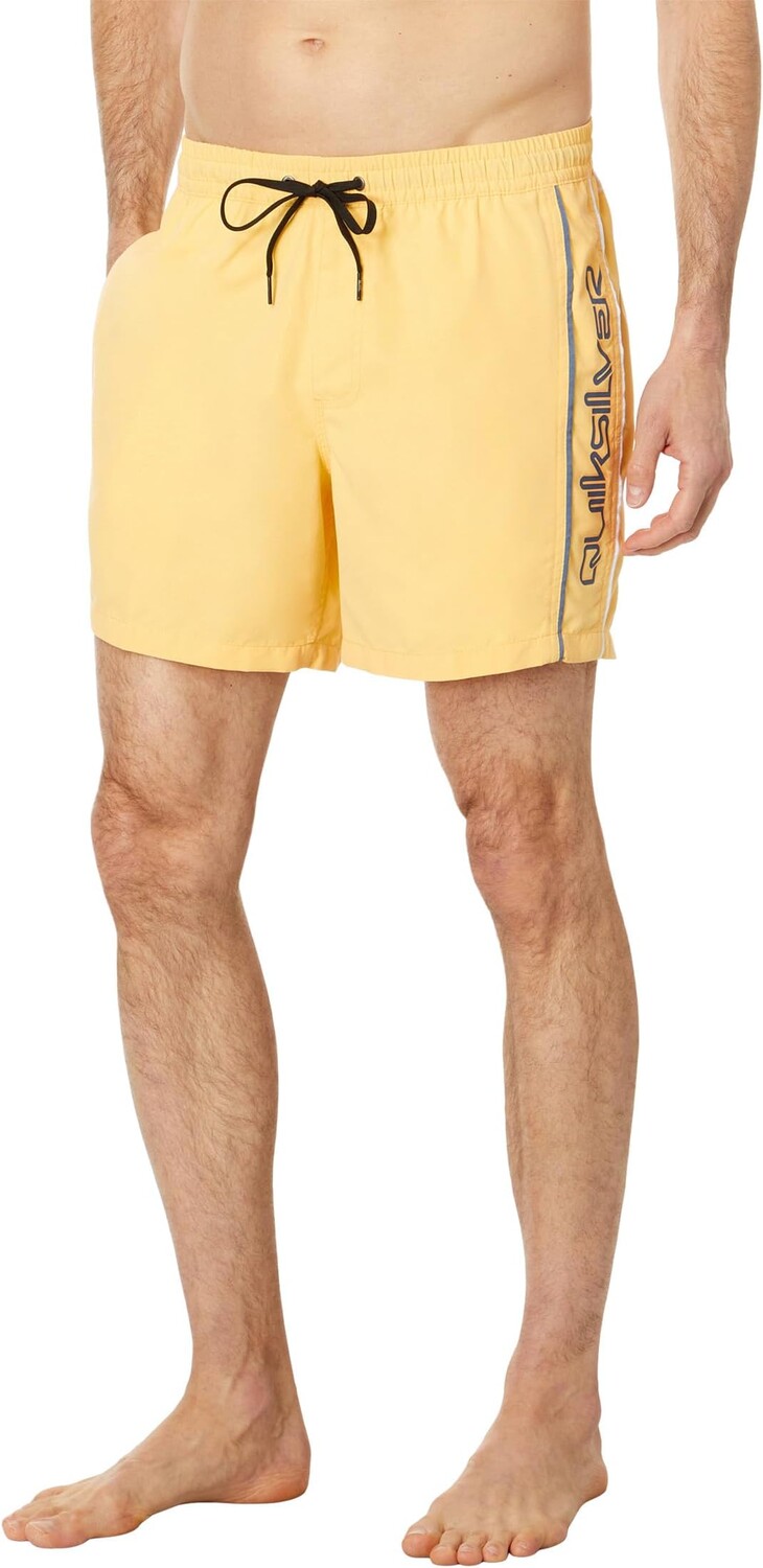 

Ежедневный верт 16 дюймов волейбол Quiksilver, цвет Banana Cream