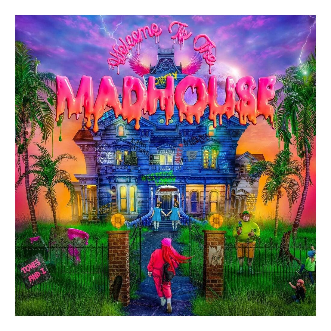 

Виниловая пластинка Welcome To The Madhouse | Tones And I