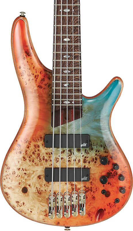 

Бас-гитара Ibanez Premium SR1605D - Autumn Sunset Sky SR1605DWASK