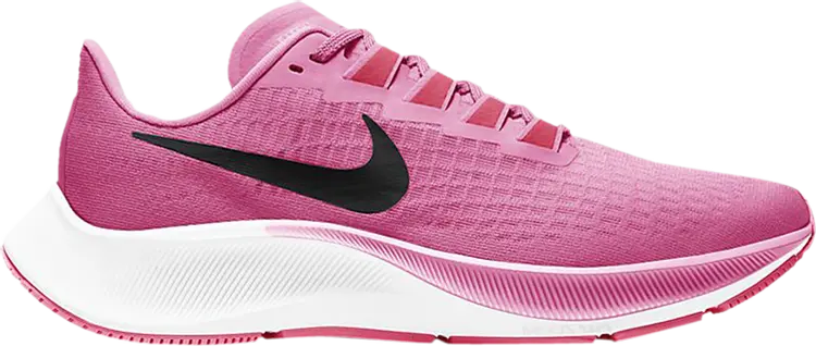 Nike air 2025 pegasus pink