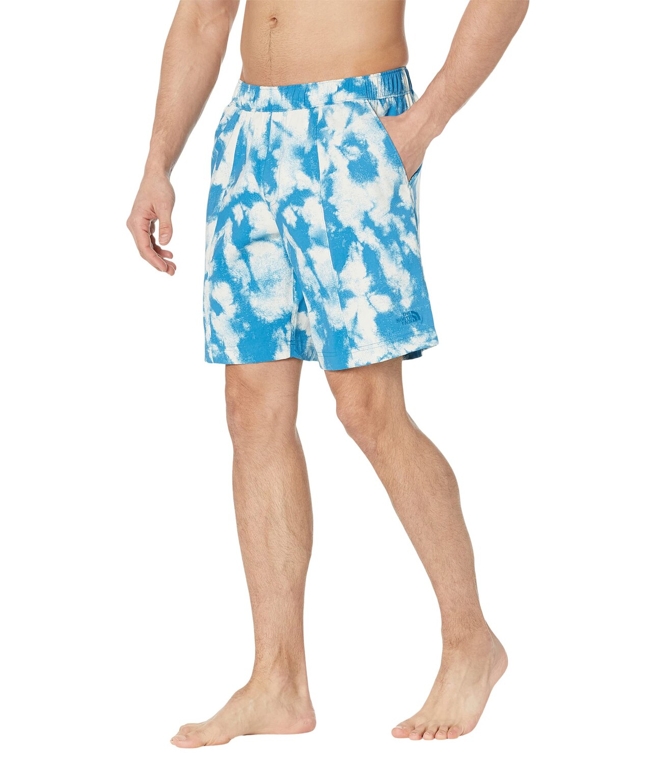 

Шорты The North Face, Printed Class V 9" Pull-On Shorts